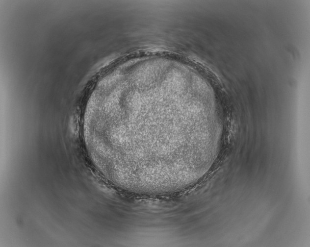 X0000112481207200908311403