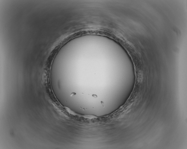 X0000112481208200908311403