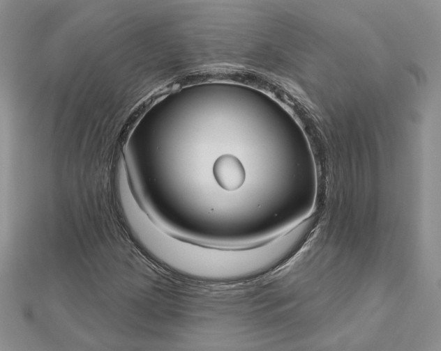 X0000112481209200908311403