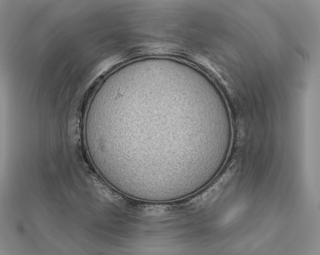 X0000112481211200908311404