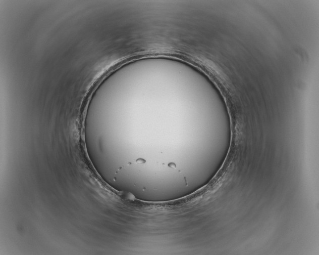 X0000112481212200908311404