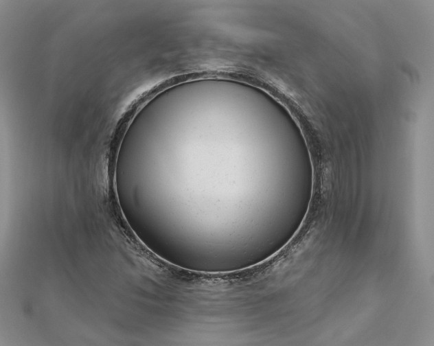 X0000112481214200908311404