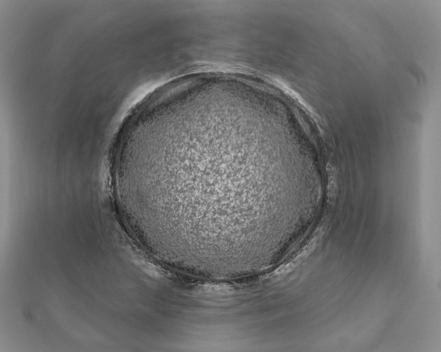 X0000112481215200908311404