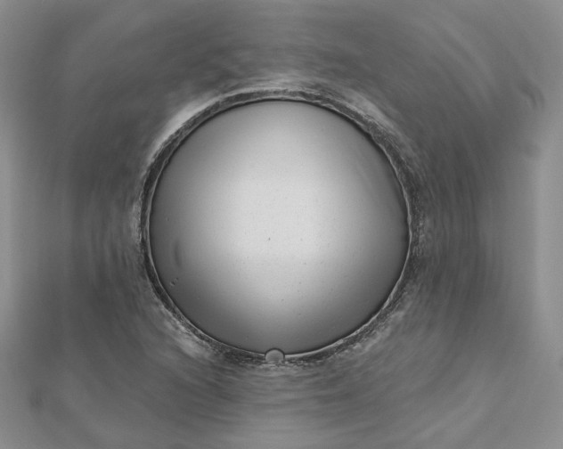 X0000112481216200908311404