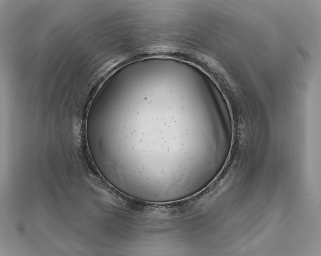 X0000112481217200908311404