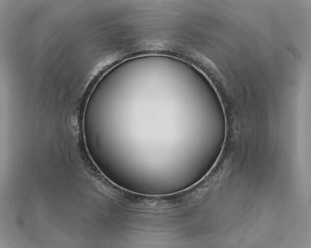 X0000112481218200908311404