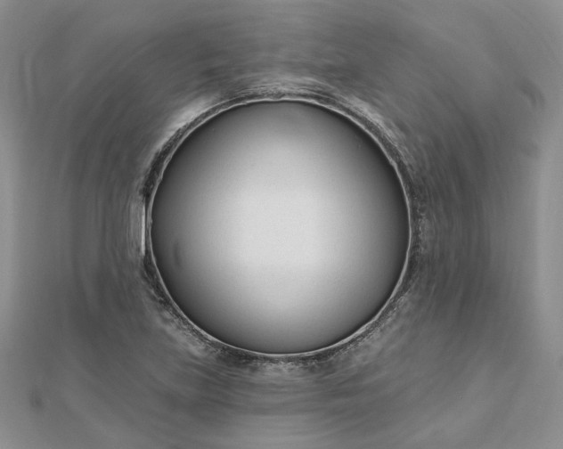 X0000112481219200908311404