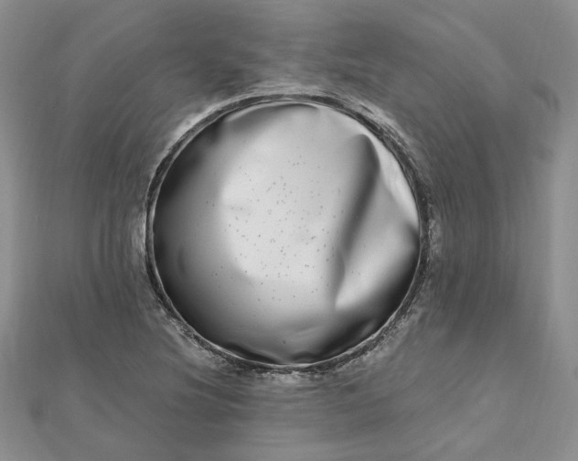 X0000112481220200908311404