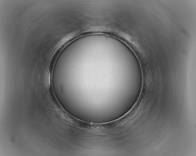 X0000112481221200908311404