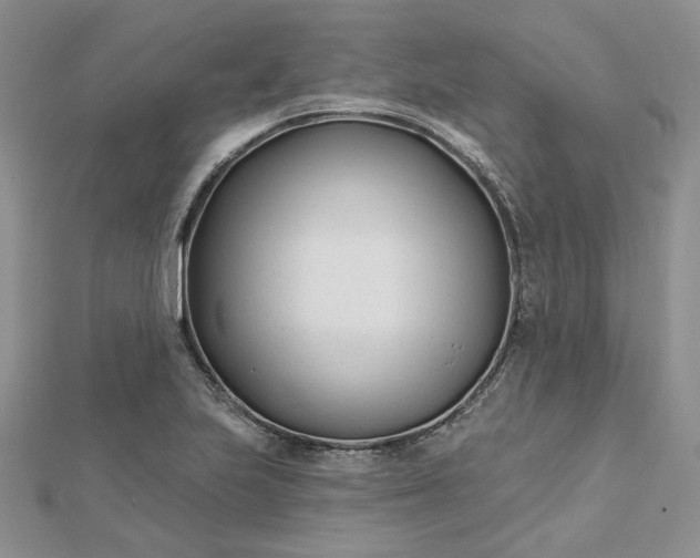 X0000112481223200908311404