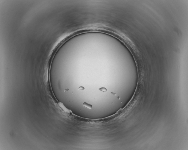 X0000112481224200908311404