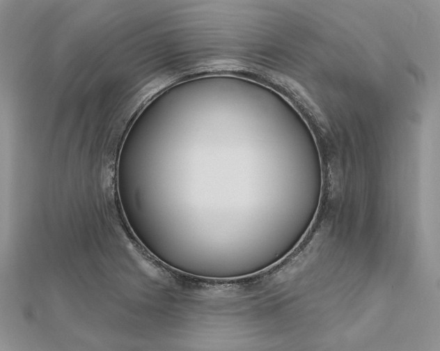 X0000112481225200908311404