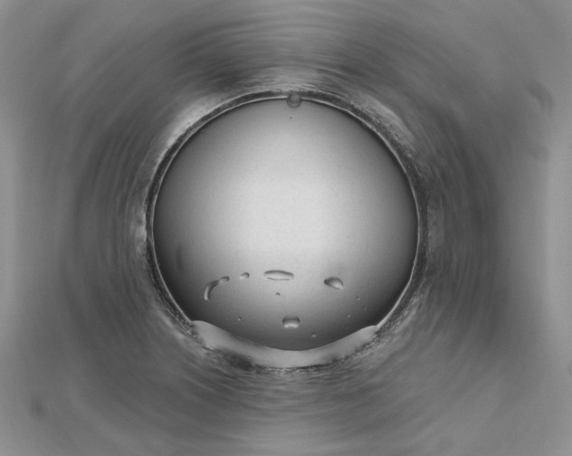 X0000112481226200908311404