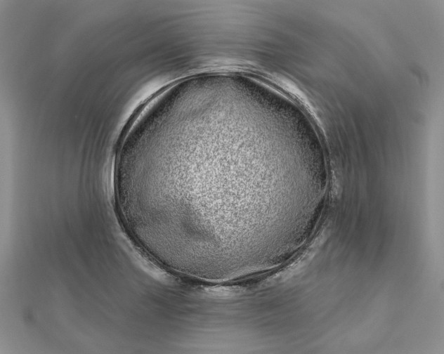 X0000112481227200908311404