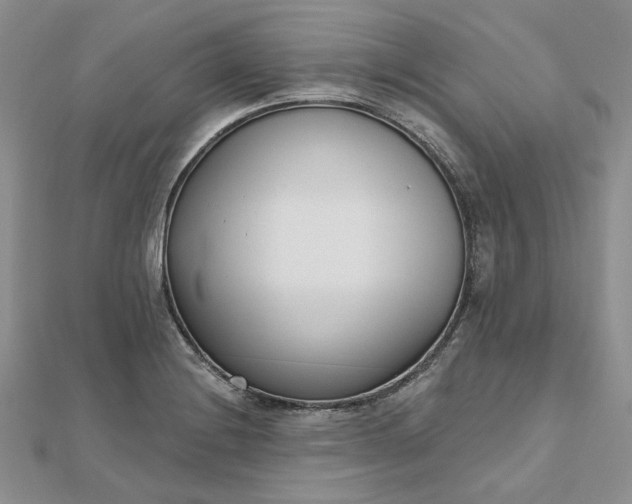 X0000112481228200908311404