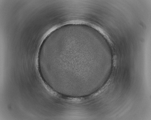 X0000112481229200908311404