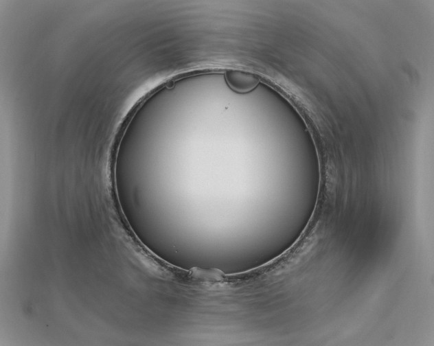 X0000112481230200908311404