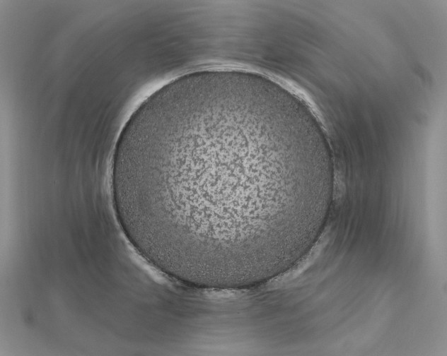 X0000112481231200908311404