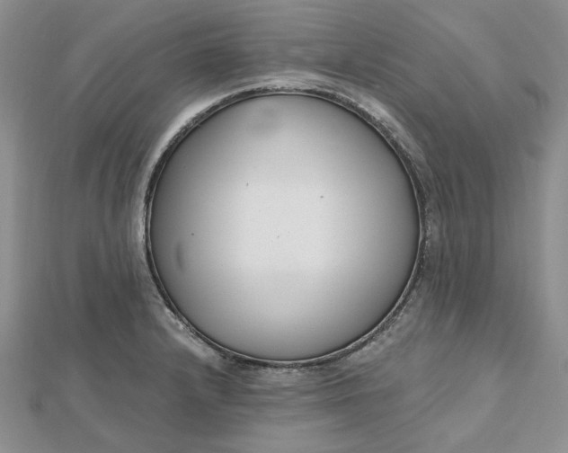 X0000112481232200908311404