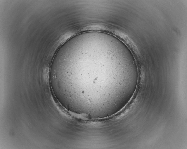 X0000112481233200908311404