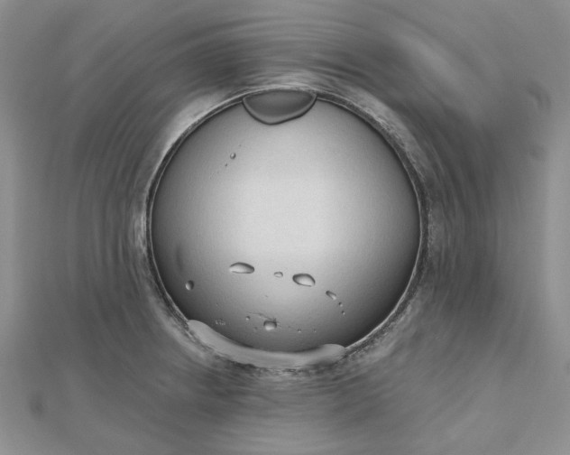 X0000112481234200908311404