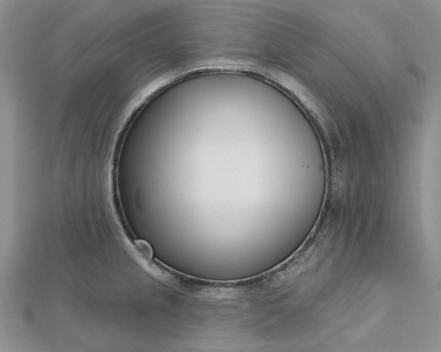 X0000112481237200908311404