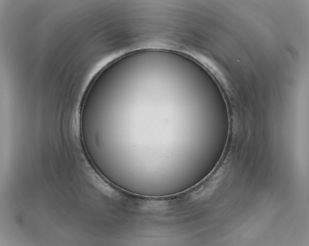 X0000112481238200908311404