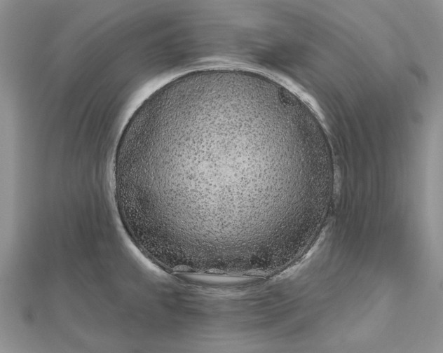 X0000112481239200908311404