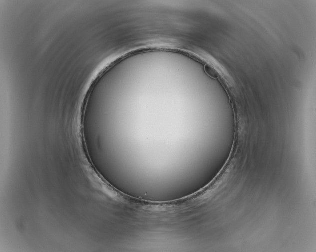 X0000112481240200908311404