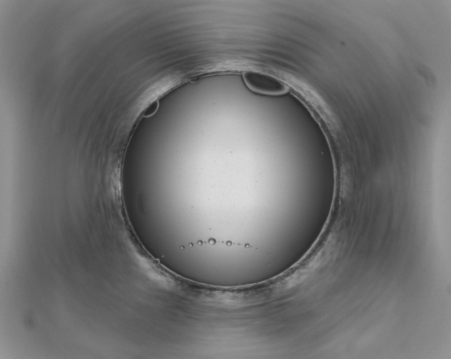 X0000112481241200908311404