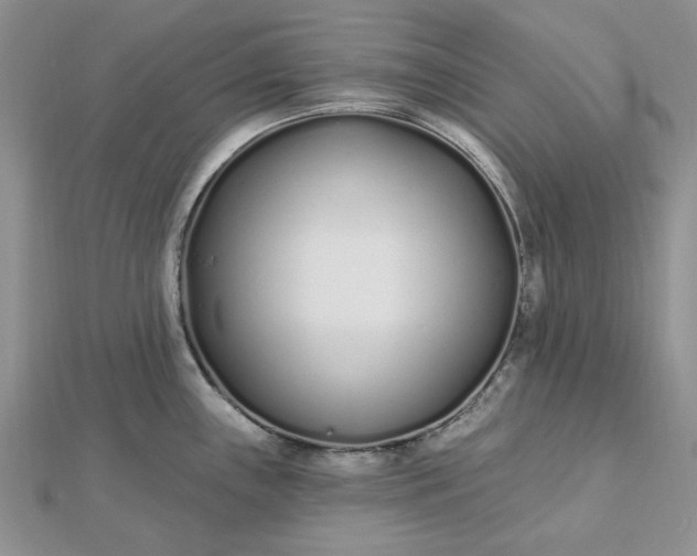 X0000112481243200908311404