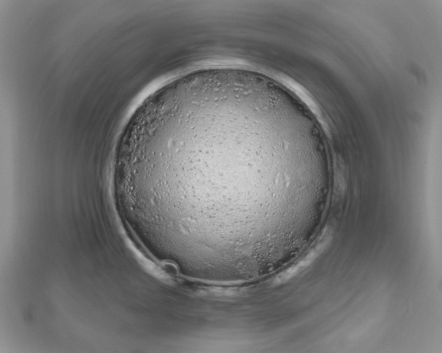 X0000112481245200908311404