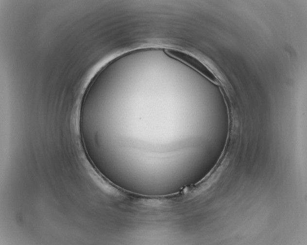 X0000112481246200908311404