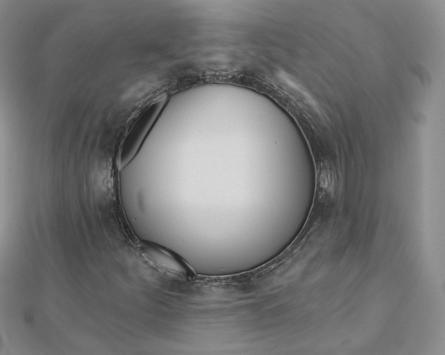 X0000112481252200908311403