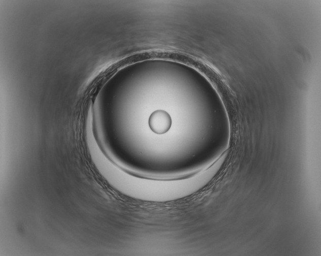 X0000112481255200908311403