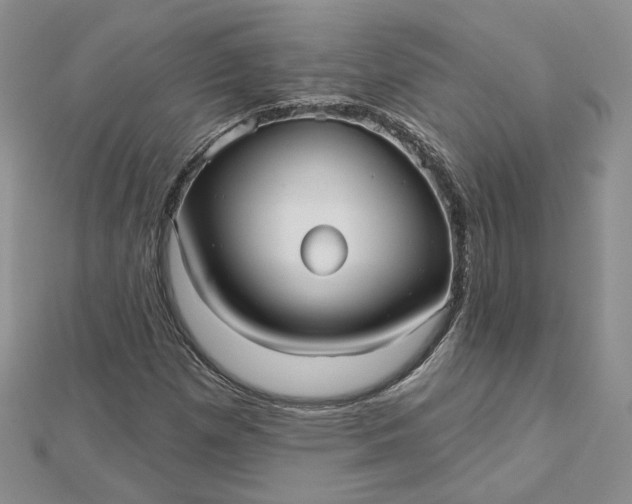 X0000112481257200908311403