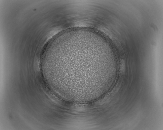 X0000112481258200908311403