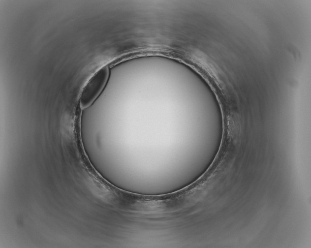 X0000112481260200908311403