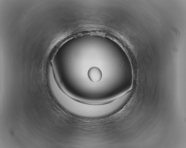 X0000112481261200908311403