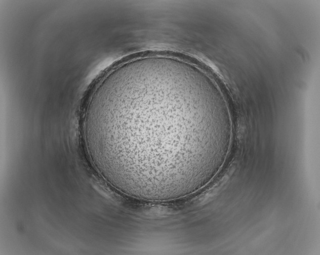 X0000112481263200908311403