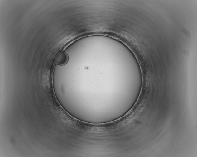 X0000112481265200908311403