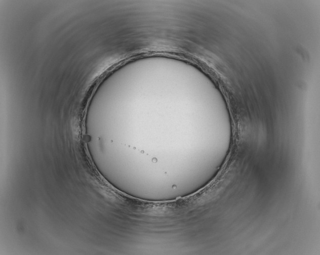 X0000112481266200908311403