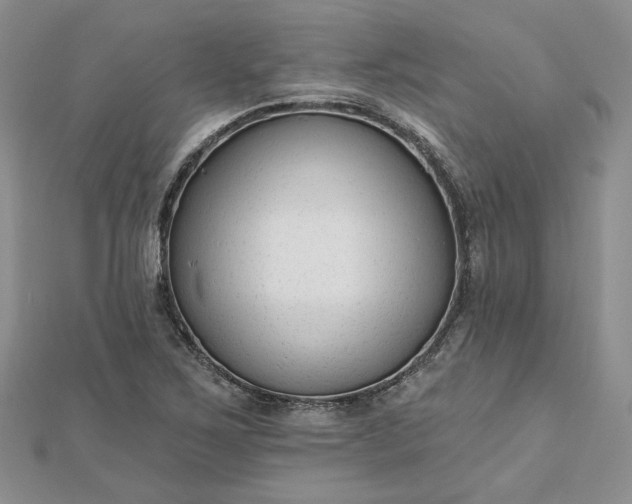 X0000112481267200908311403