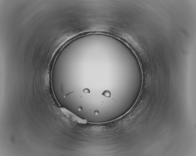 X0000112481268200908311403