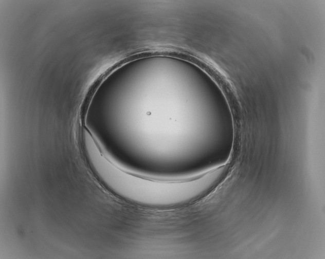 X0000112481269200908311403