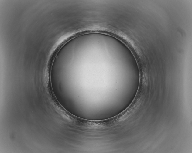 X0000112481270200908311403