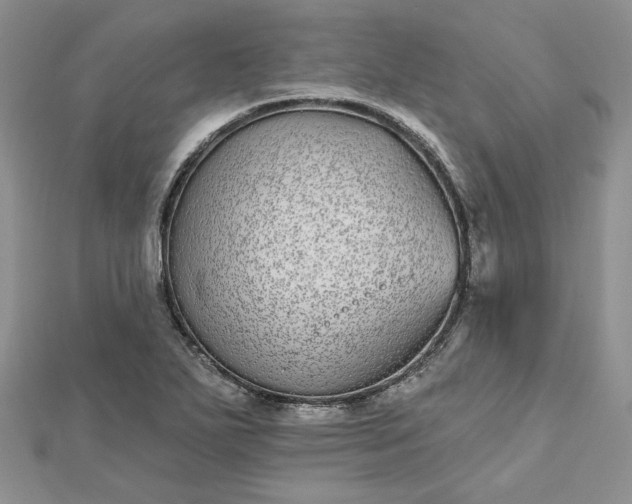 X0000112481271200908311403