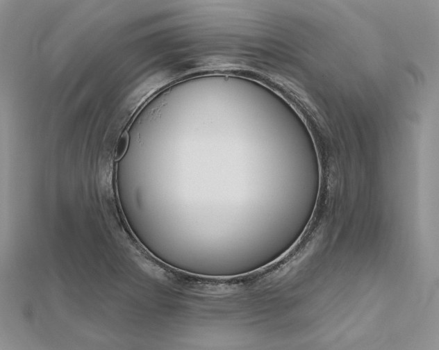 X0000112481273200908311403