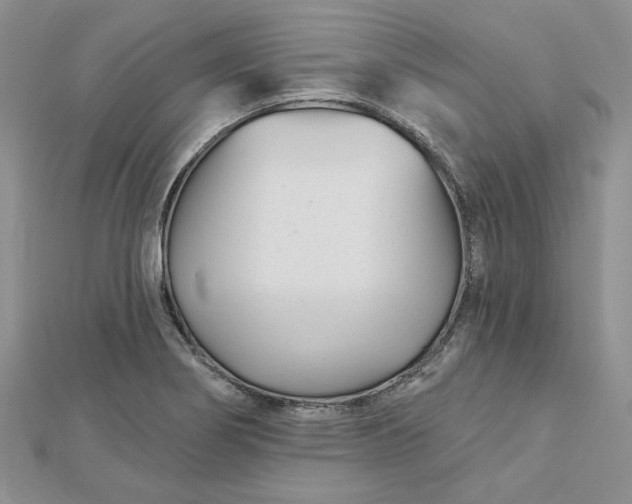 X0000112481274200908311403