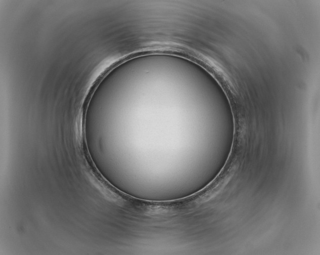 X0000112481275200908311403